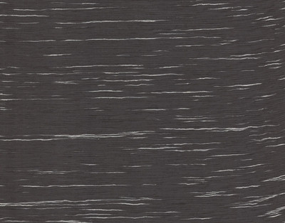 Изображение ALPI Birch Black