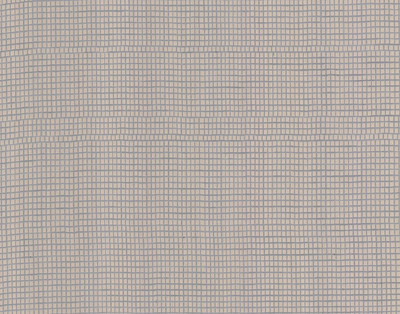 Изображение ALPI Warp Frosty Grey